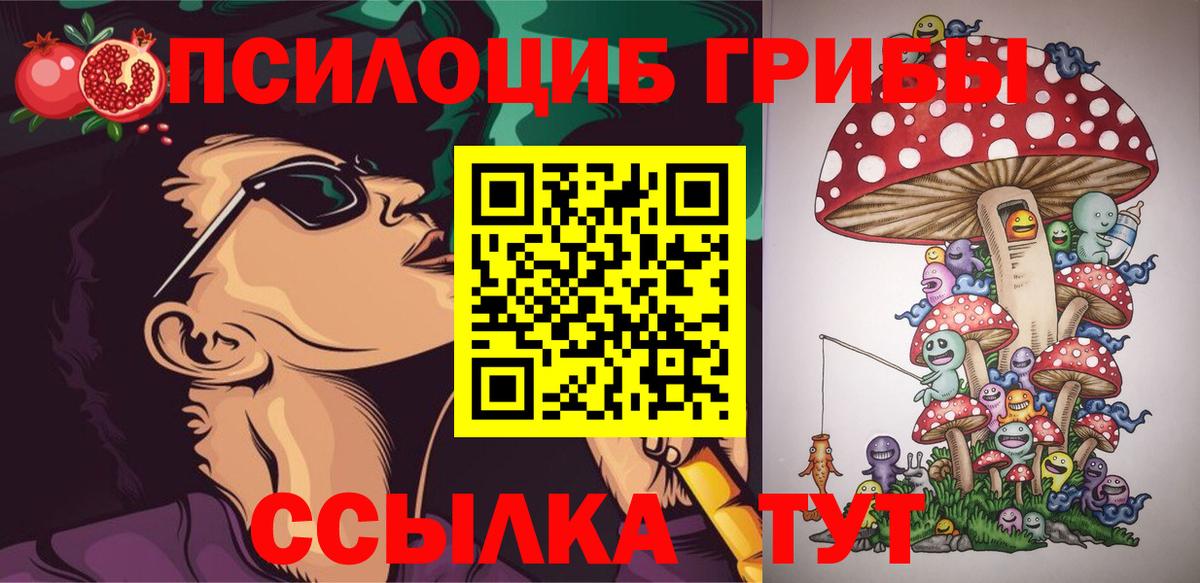 сколько стоит  Галлюциногенные грибы Psilocybine cubensis  Жигулёвск  Вход с VPN  Псилоцибиновые грибы мицелий 